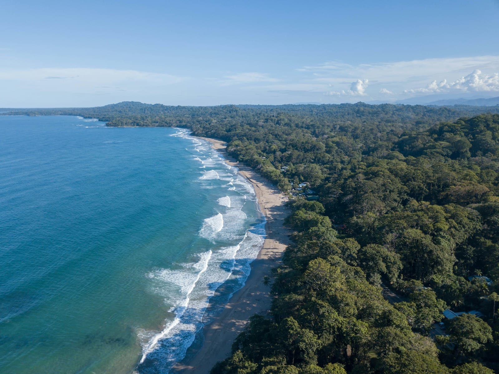 Jungle-backed beach and turquoise water at Cocles, southern Caribbean coast