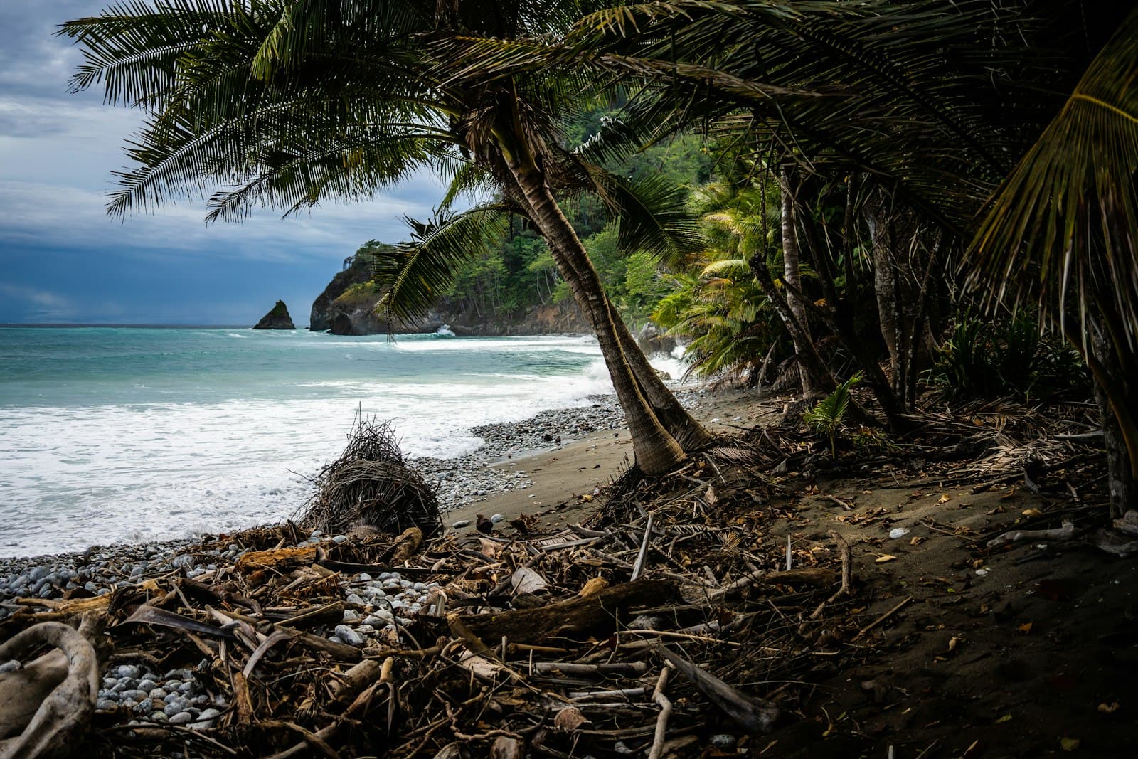 Wild palm-lined beach on the Osa Peninsula under a moody sky